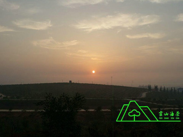 基地?cái)z影