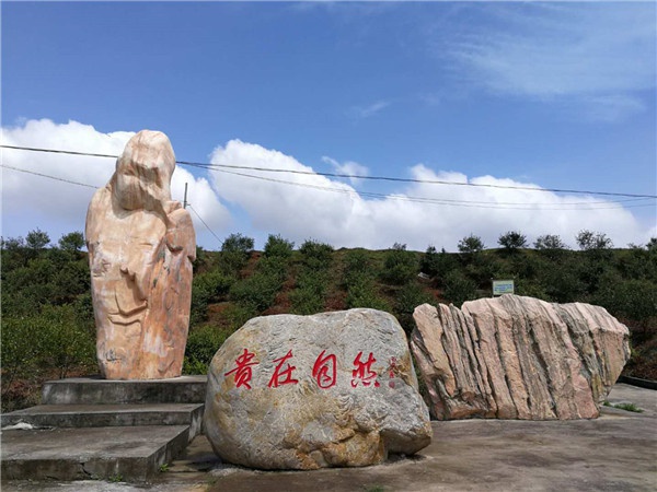 微信圖片_20200818210001.jpg