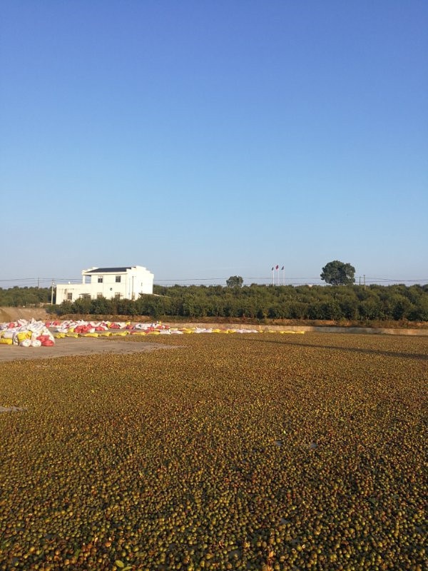 微信圖片_20201012083404.jpg