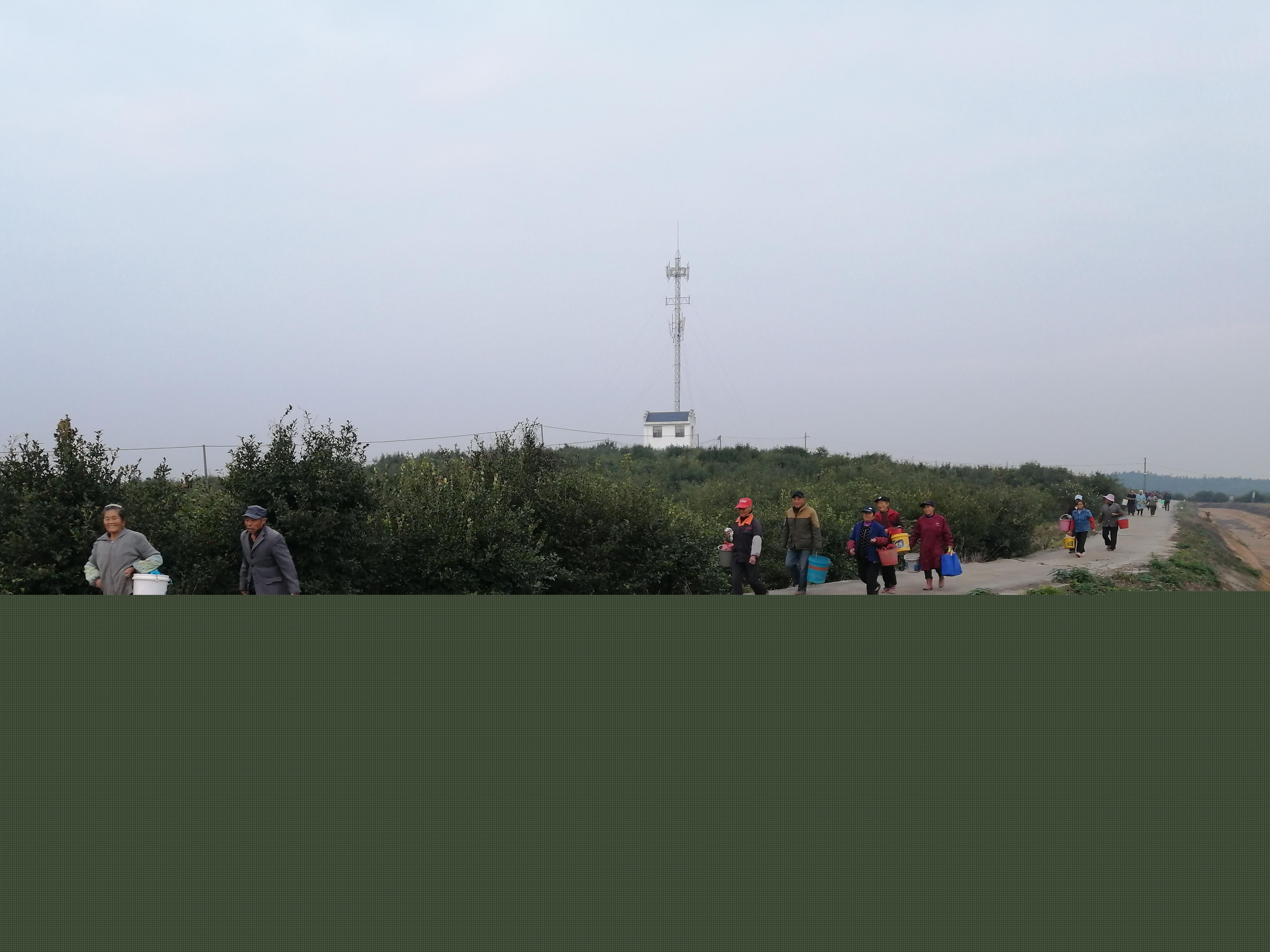 微信圖片_20211025090535.jpg